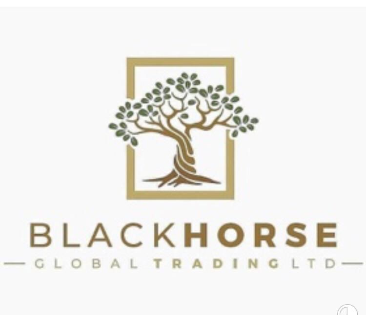 Black Horse Global Trading