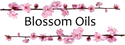 BLOSSOM OILS LTD