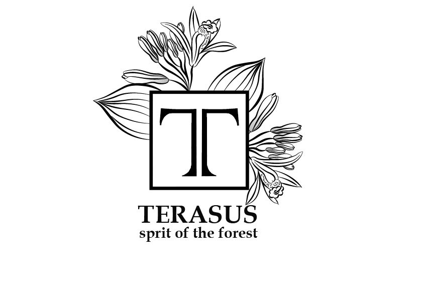 TERASUS LLC