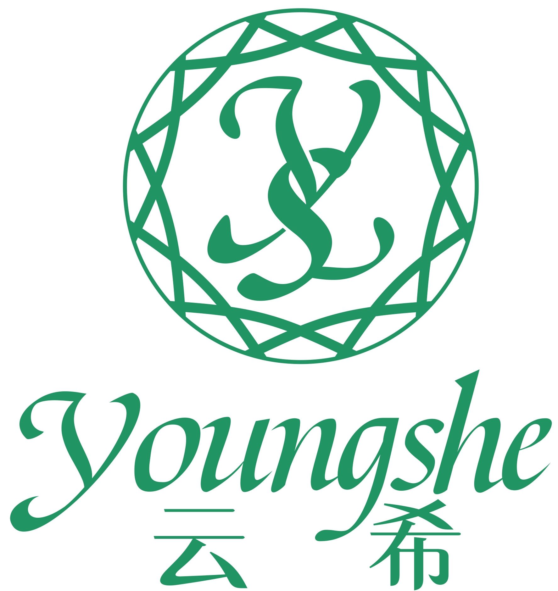 Chengdu Youngshe Chemical Co.,Ltd