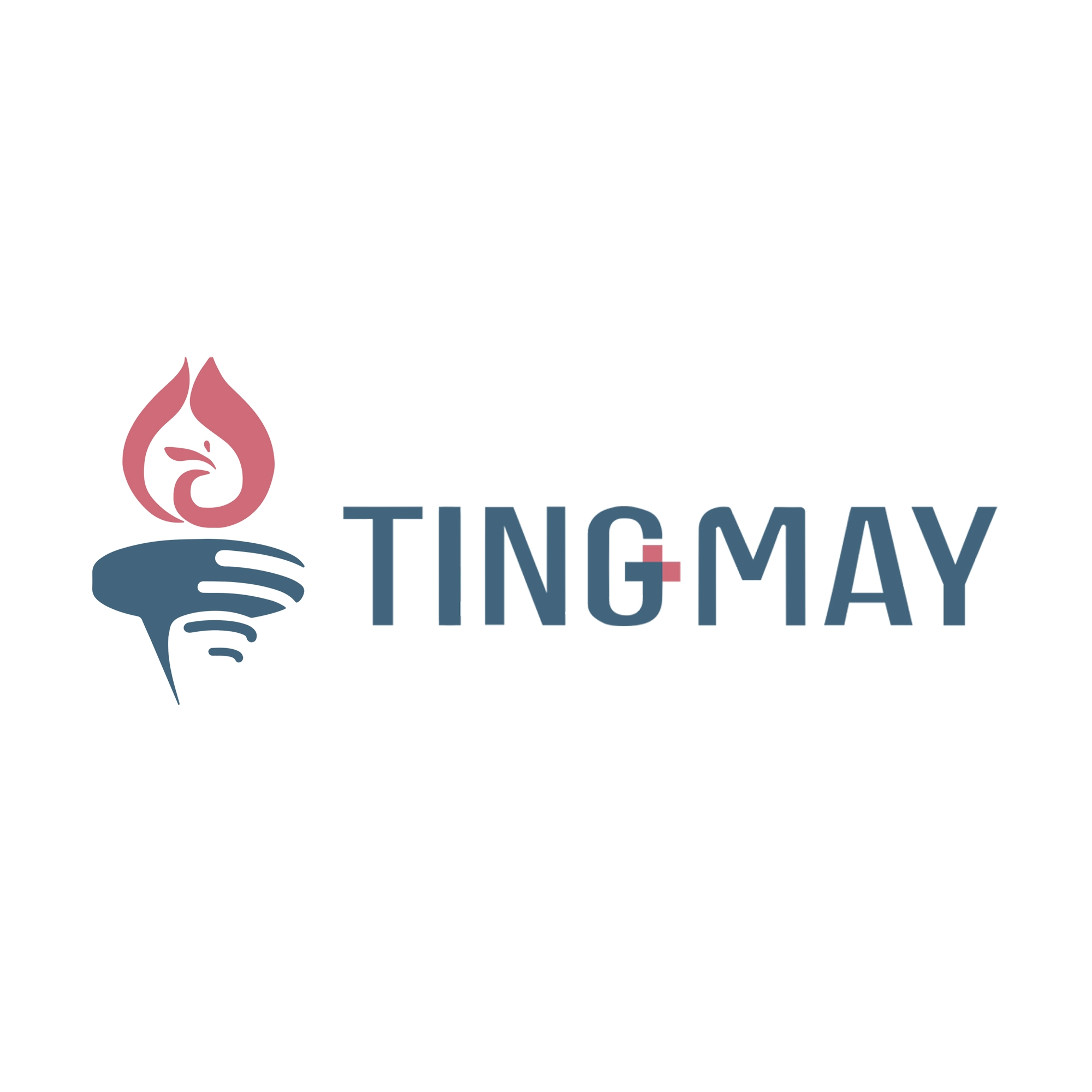 HK Tingmay Beauty Equipment