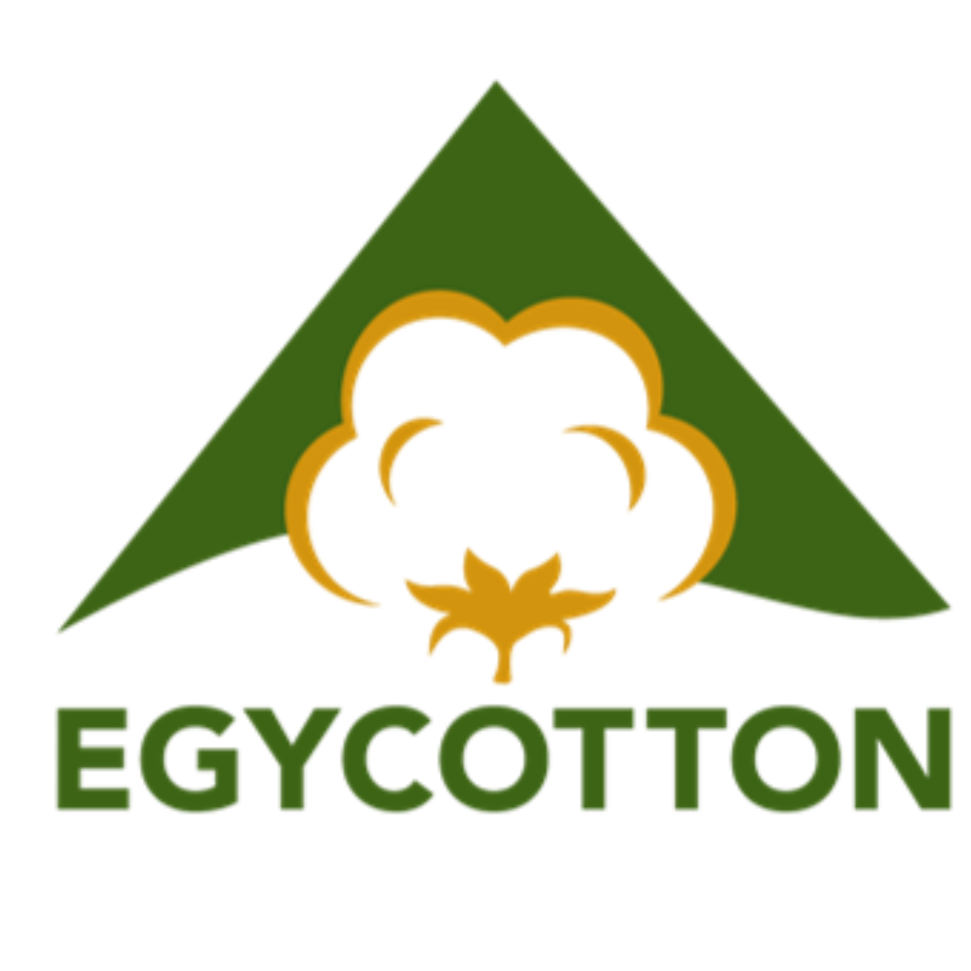 EgyCotton