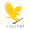 FOREVER B SERVICES LLC