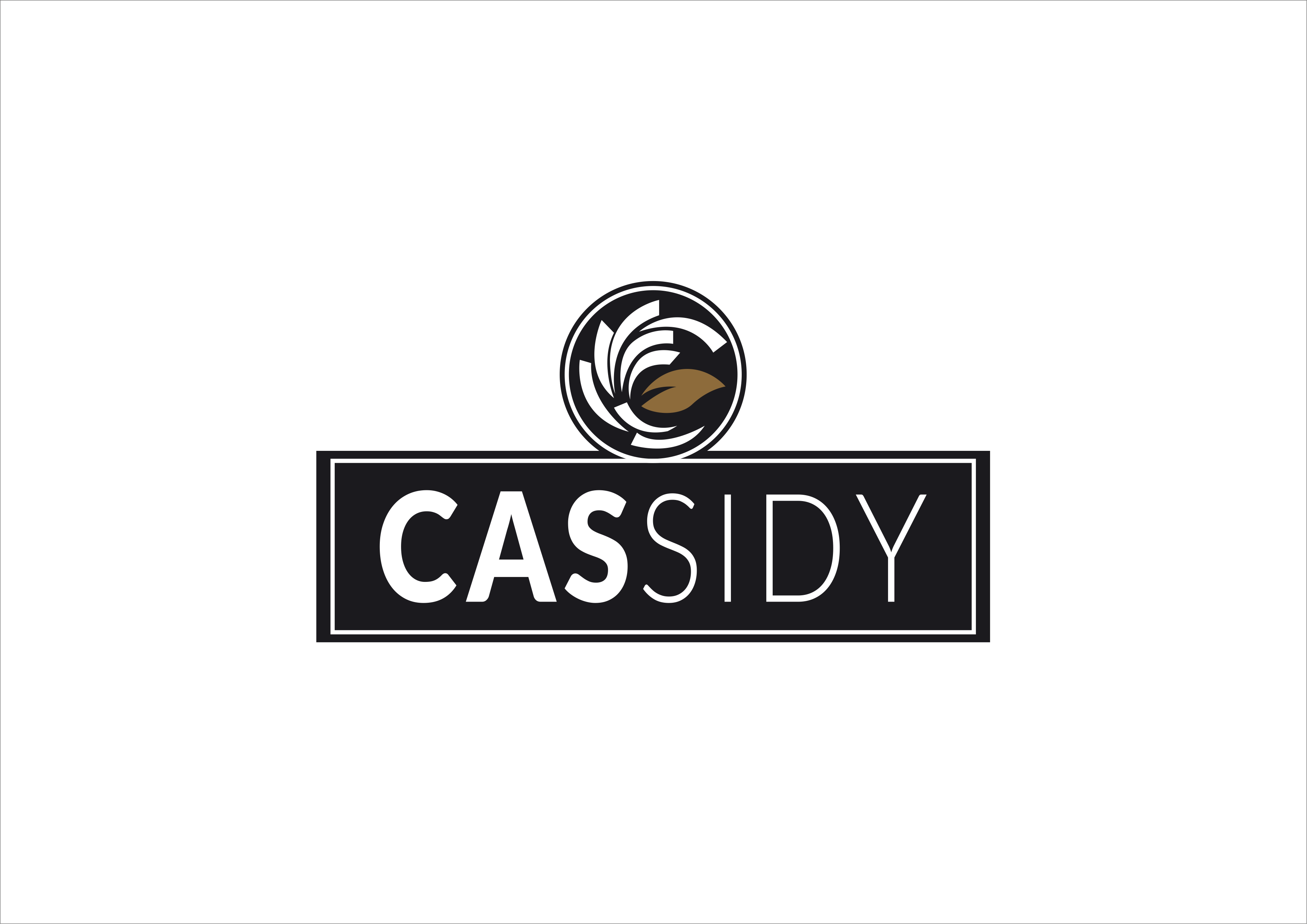 Cassidy Cosmetics Pvt. ltd.