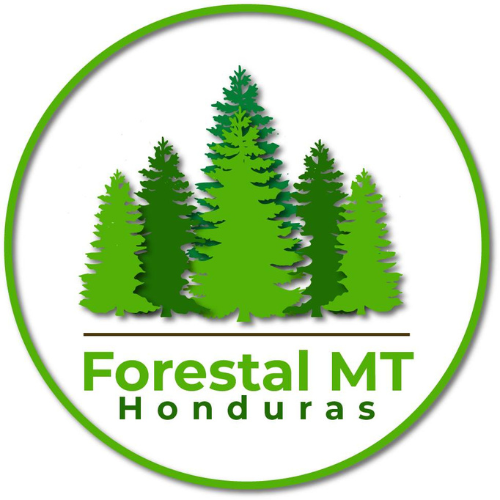 Forestal MT