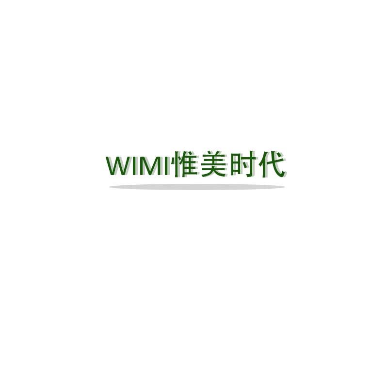 Dongguan WIMI Times Technology Co., Ltd