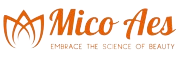Mico Aes Technology