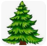 Evergreen Beauty