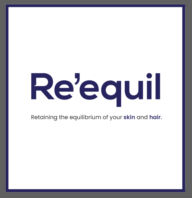 Re'equil India Private Limited