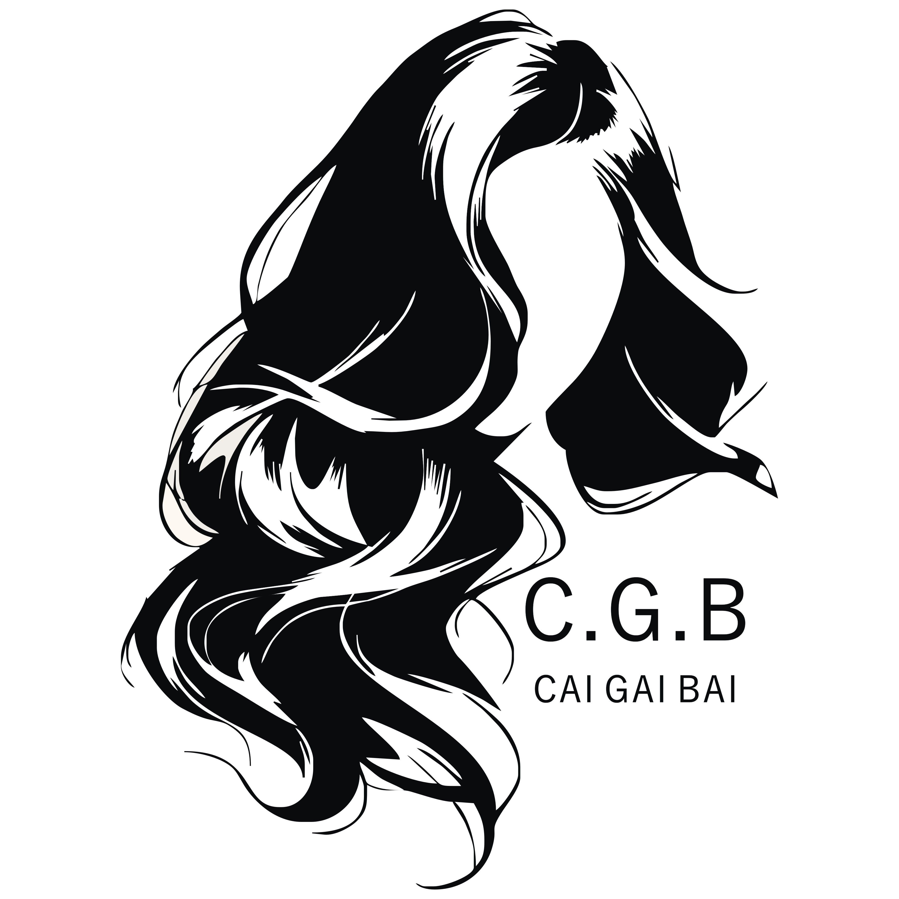 Guangzhou Qiao Yang Zi Cosmetics Technology Co., Ltd.