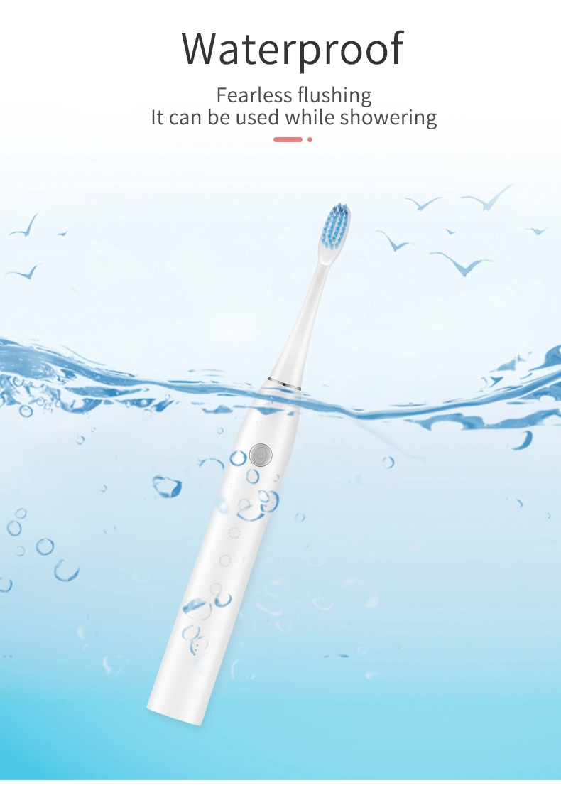 2020 Sainbeauty New Sonic toothbrush + cleansing (two in one) sonic toothbrush electric