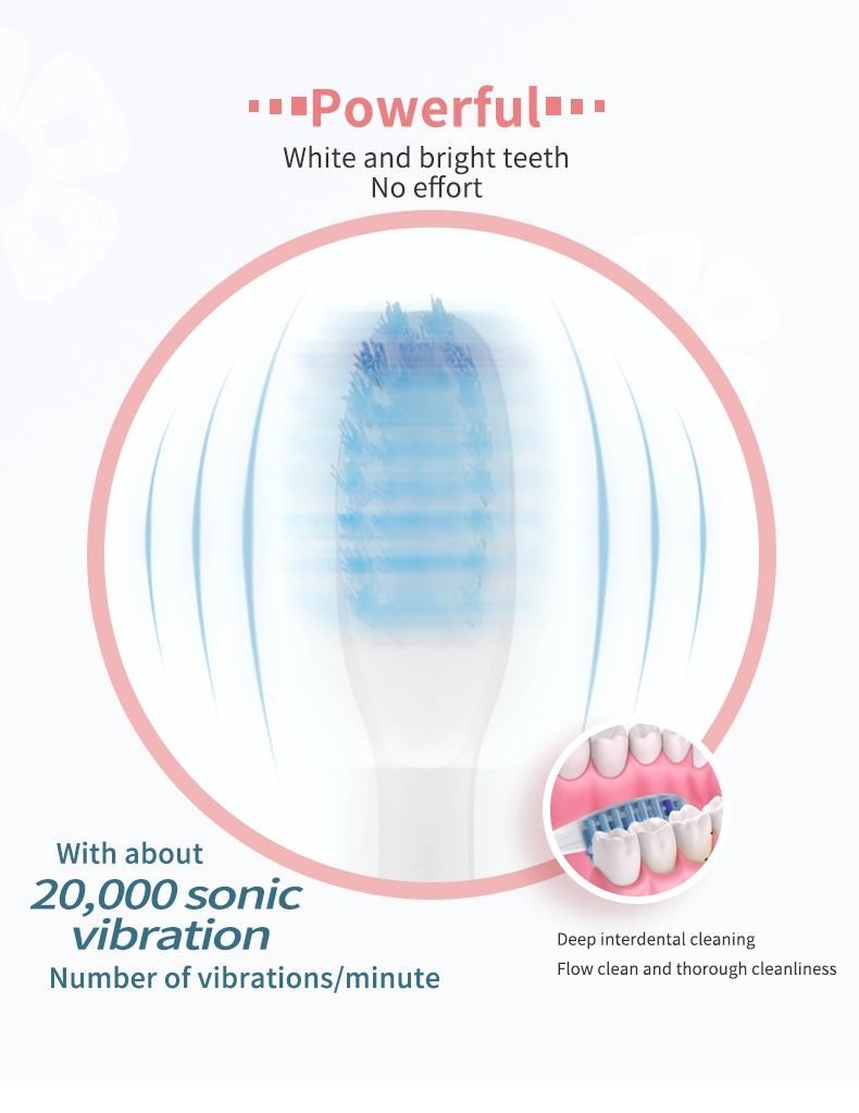 2020 Sainbeauty New Sonic toothbrush + cleansing (two in one) sonic toothbrush electric