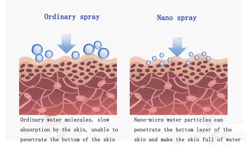 Sain High Tech Beauty Skin Care USB Charging Portable Face Spray water Meter Steaming Deep Cleansing Spray Facial Steamer