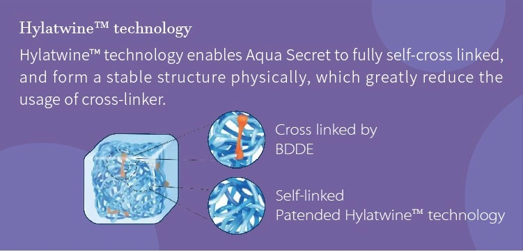 Aqua Secret CE Approved Dermal Filler 2ml Injectable Hyaluronic Acid Facial Filler