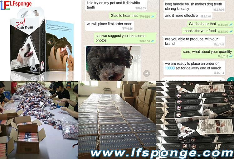 dog-toothbrush-wholesale-teeth-cleaning-kit-factory
