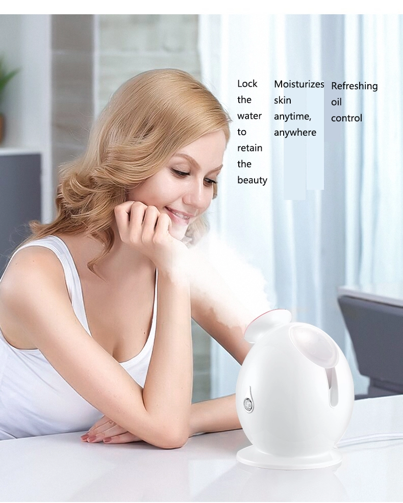 SAIN  TOP sale   Fashion appearance design  more experience Penguin face steam machine