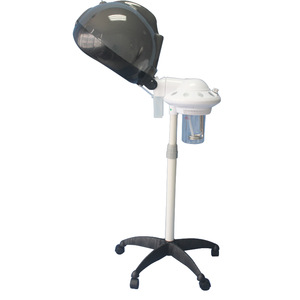 Factory Supply professional stand hair steamer with low price - Zhuhai  Lanqi Electrical Appliance Co., Ltd. | BeauteTrade