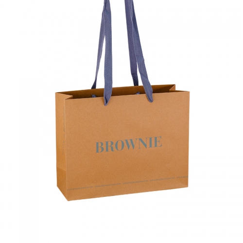Art Paper Gift Bags