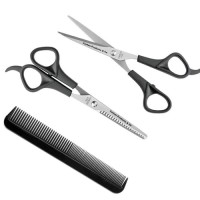 Factory Direct Sales Silver Color Stainless Steel Professional Haircut Scissors for Hair Care Scissor