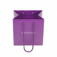 Art Paper Gift Bags