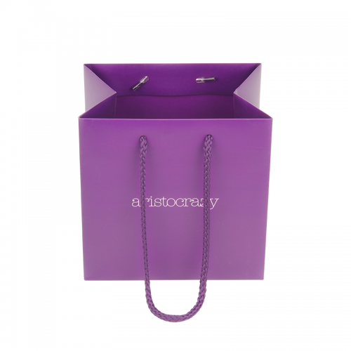 Art Paper Gift Bags
