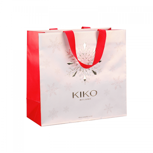 Art Paper Gift Bags