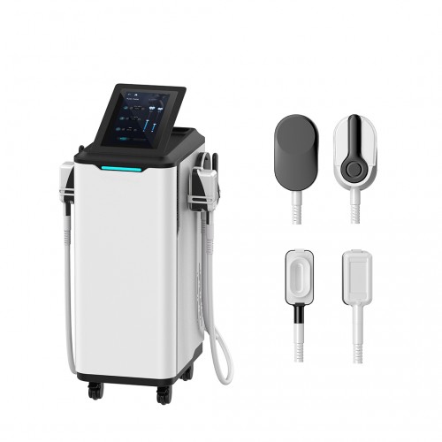 Newest 2 in 1 Cryolipolysis& EMS Electric Muscle Stimulator Body Sculpt Machine