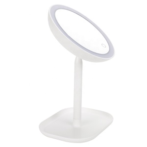 10X LED Lighted Makeup Mirror Magnifying  with Light Makeup Mirror with Lights