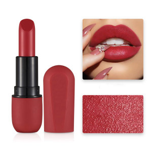 2020 new Nude Bullet Head Lipstick Matte lip stick
