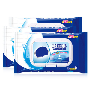 40 pcs travel pack moist toilet tissue flushable wet tissue Wet toilet paper