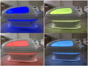 body sweating and detoxification body shaping led hot wet steam spa capsule