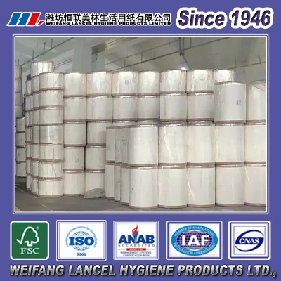 China Materials for Making Tissue Paper Roll Jumbo Roll Toilet/Facial Paper Tissue