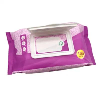 Custom Wet Wipes Factory Wholesale Cheap Alcohol Free Wet Towel Disposable Cleaning Baby Wet Wipe