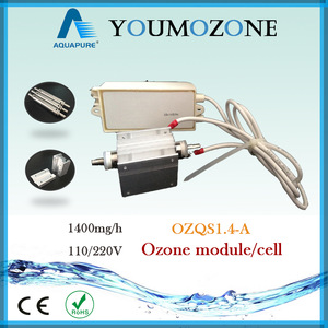 Effective 1400mg/h 110/220V Ozone capsule parts for sale