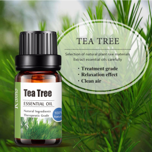 OEM/ODM Aceites 10ml pure aromatherapy oils private label wholesale tea tree essential oil