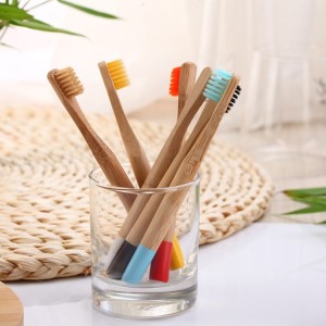 Organic Ecofriendly Round Handle Biodegradable New Product Bamboo Toothbrush