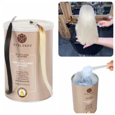 Professional Salon Wholesale Bleaching Powder Permanent Bleach Powder Manufacturer for Hair Dye