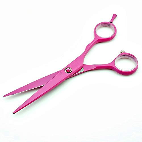 5.5 Inch Professional Pink Hair Cutting Shears/Scissors and Barber Thinning/Texturing Scissor for Female & Male Barber