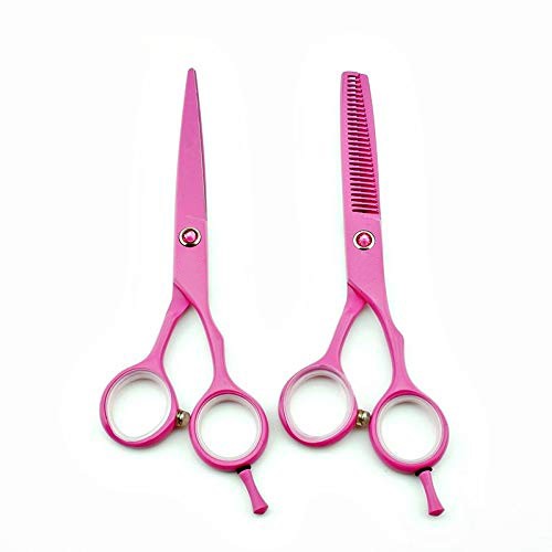 5.5 Inch Professional Pink Hair Cutting Shears/Scissors and Barber Thinning/Texturing Scissor for Female & Male Barber