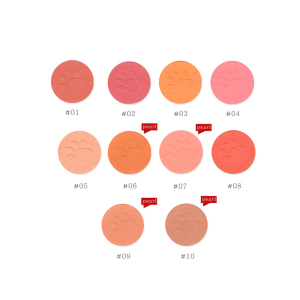 2021 New Arrival Private Label Highlighter Shimmy Cheek Blush Palette Professional Cosmetics