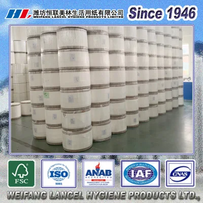 China Virgin Wood Pulp Mother Roll for Toilet Tissue/Napkin Tissue/Towel Tissue
