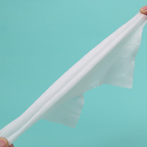 cleaning dog ear wet wipes with low price