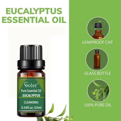 Factory Supply Top Quality Eucalyptus Essential Oil