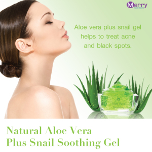 Natural Aloe Vera Plus Snail Soothing Gel