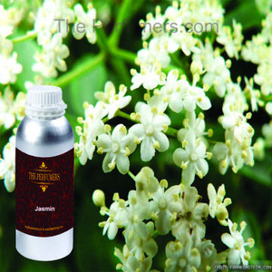 the perfumers jasmine essential oil