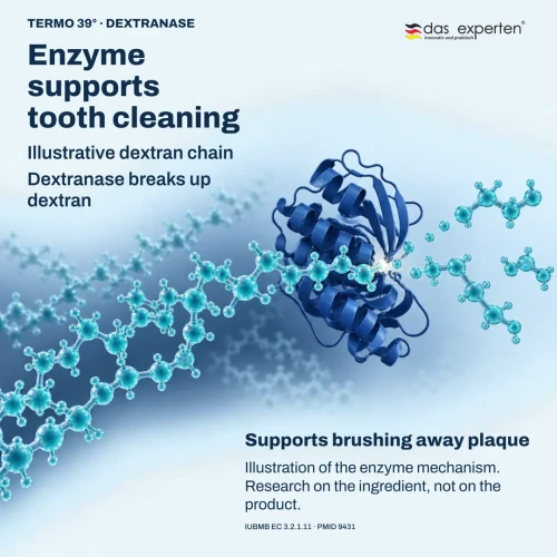 Das Experten TERMO 39° Enzyme Toothpaste, 70 ml