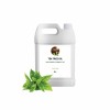 BioProGreen Private Label tea tree oil Your Signature Brand