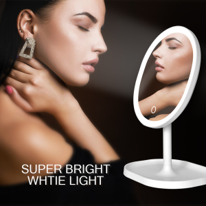 2021 Newest Recharge Oval LED Light ABS Standing Makeup Mirror With 1X &  spot mirror 10x