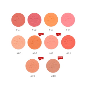 Blusher Case Single Blush Palette Private Label Blush Makeup