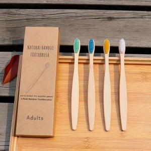 Eco-friendly Zero Waste Private Label 100% Biodegradable Bamboo Toothbrush